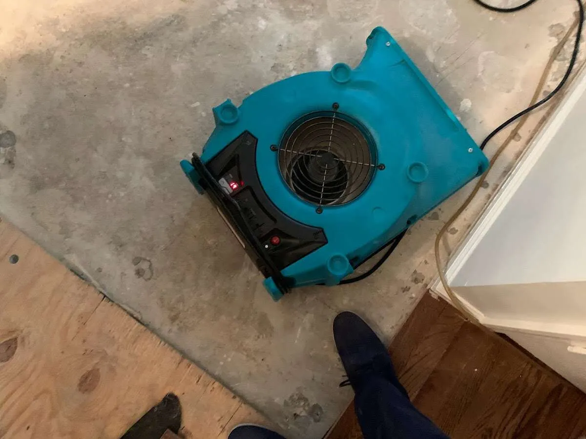 Air mover drying subfloor during Leak Detection & Repair in Edwardsville